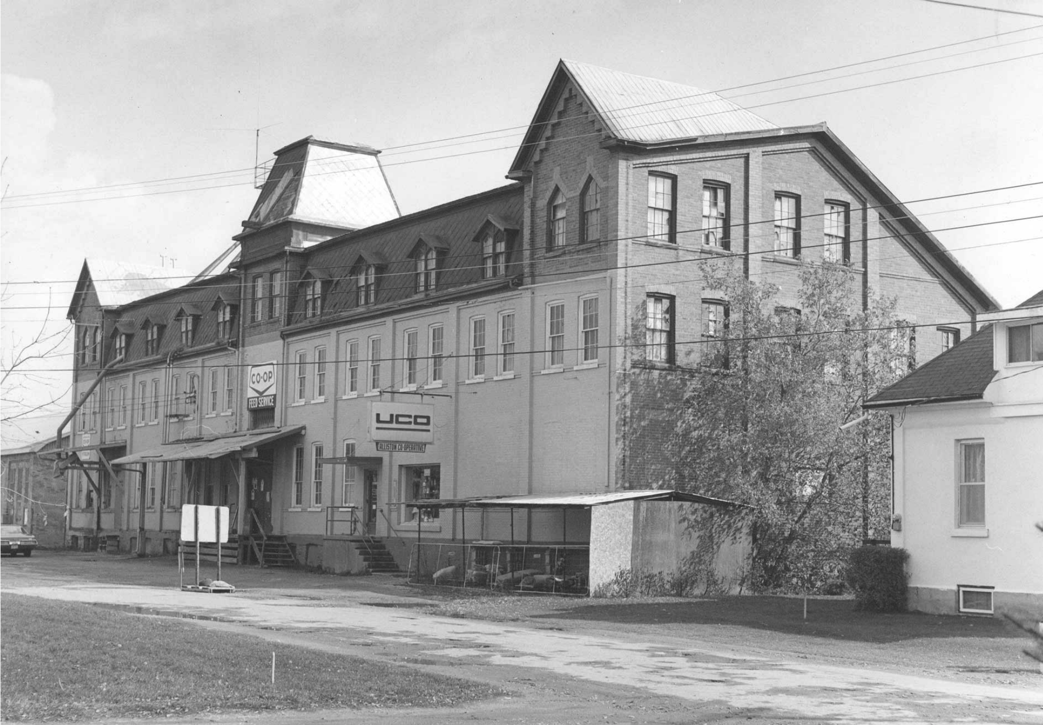 Banting Digital Image