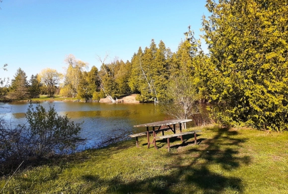 A picnic table sits on a grassy bank beside a calm pond, surrounded by trees under a clear blue sky.