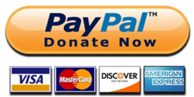 A blue rectangular button with rounded corners featuring a stylized yellow and blue figure and the white text Donate Now through CanadaHelps.org.