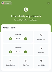 A digital accessibility menu titled Accessibility Adjustments, featuring icons and buttons to modify font size, line height, contrast, and layout.
